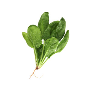espinaca_manojo.jpg