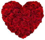 heart-red-roses-beautiful-42799892.jpg