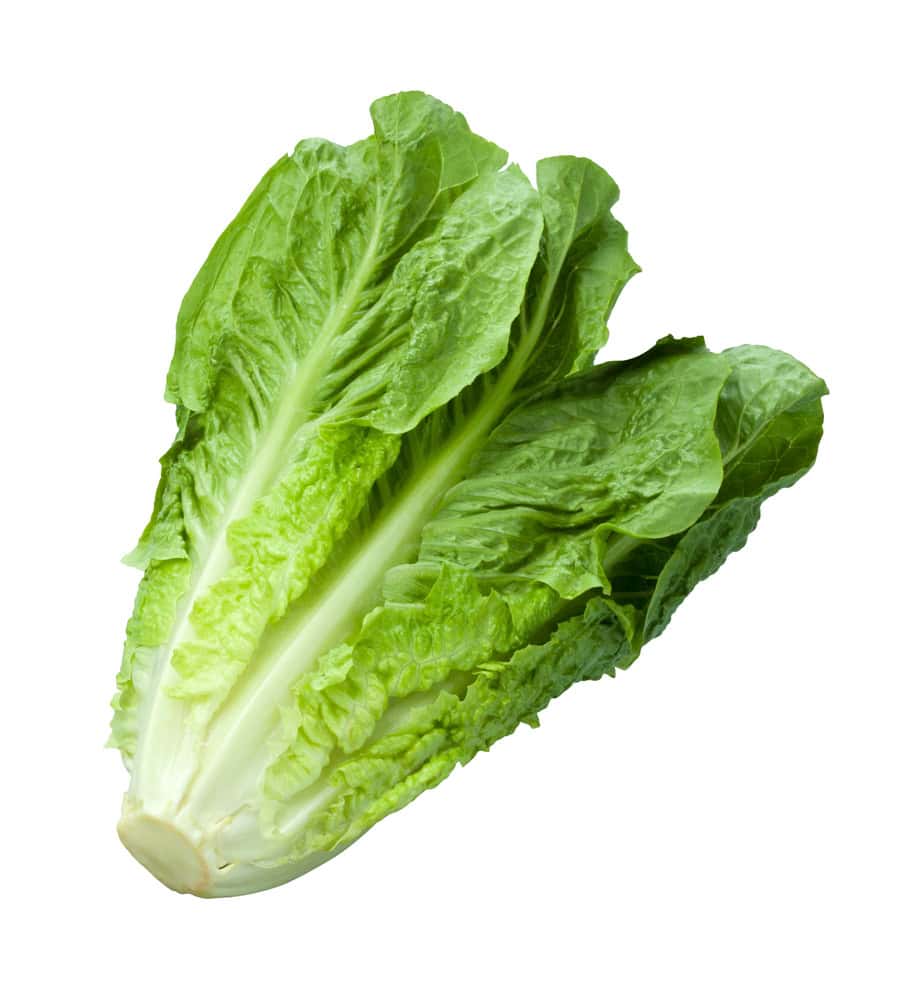 lechuga-romana.jpg