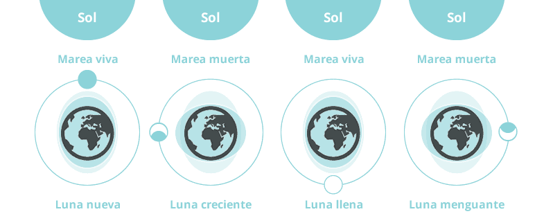 mareas.png