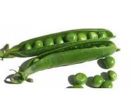 plantas-de-guisantes.jpg